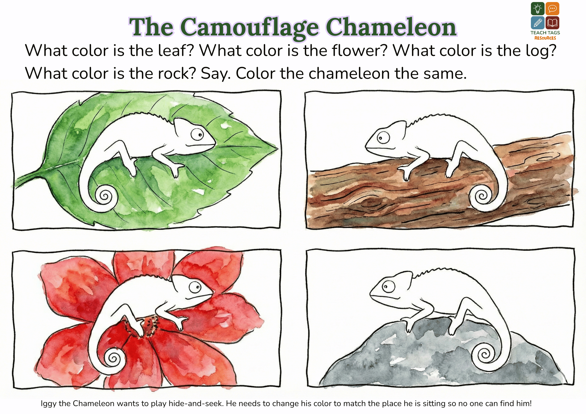 The Camouflage Chameleon